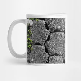 Between the stones 1 Mug